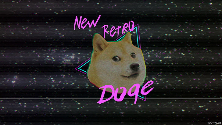 Angry Shiba, looking at camera, no people, meme, retro wave Free HD Wallpaper