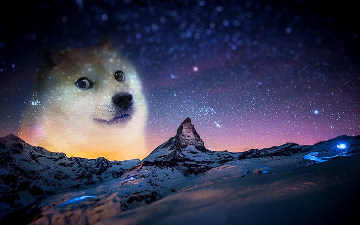 Cheems Doge Lore, doge, tranquil scene, purple, winter Free HD Wallpaper