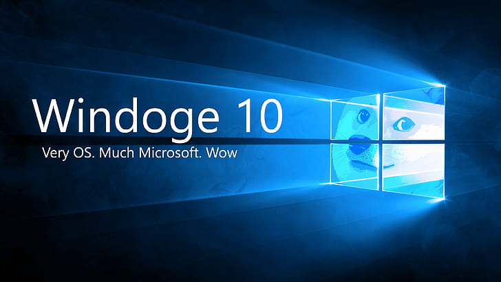 Dodge Windows, microsoft windows, shiba inu, doge, memes Free HD Wallpaper