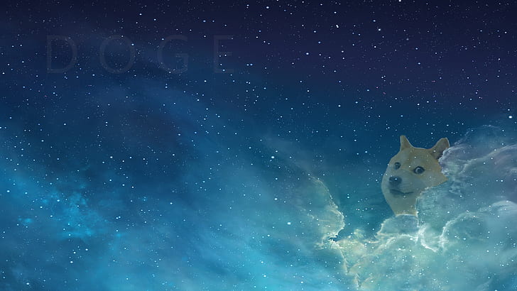 Doge Language, clouds, doge Free HD Wallpaper