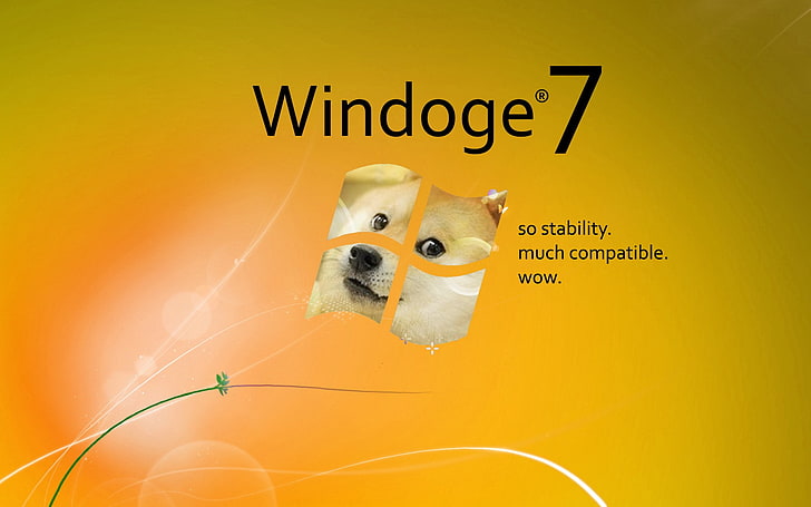 Doge Meme, shiba inu, windows 7, memes, microsoft windows Free HD Wallpaper