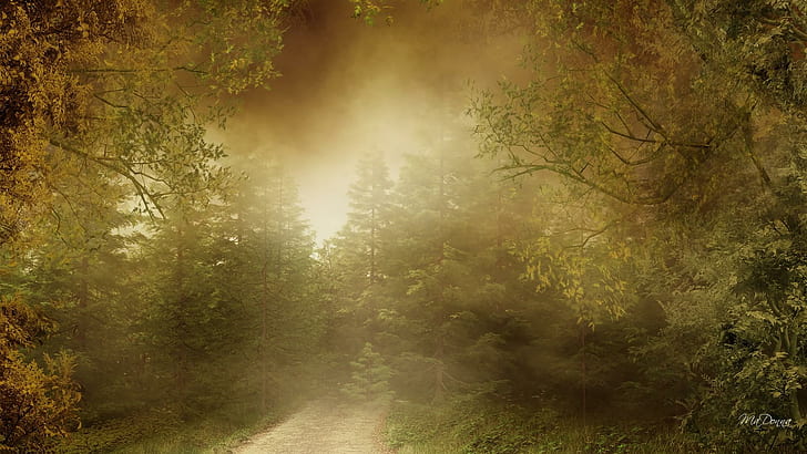 eerie, autum, mist, autumn Free HD Wallpaper