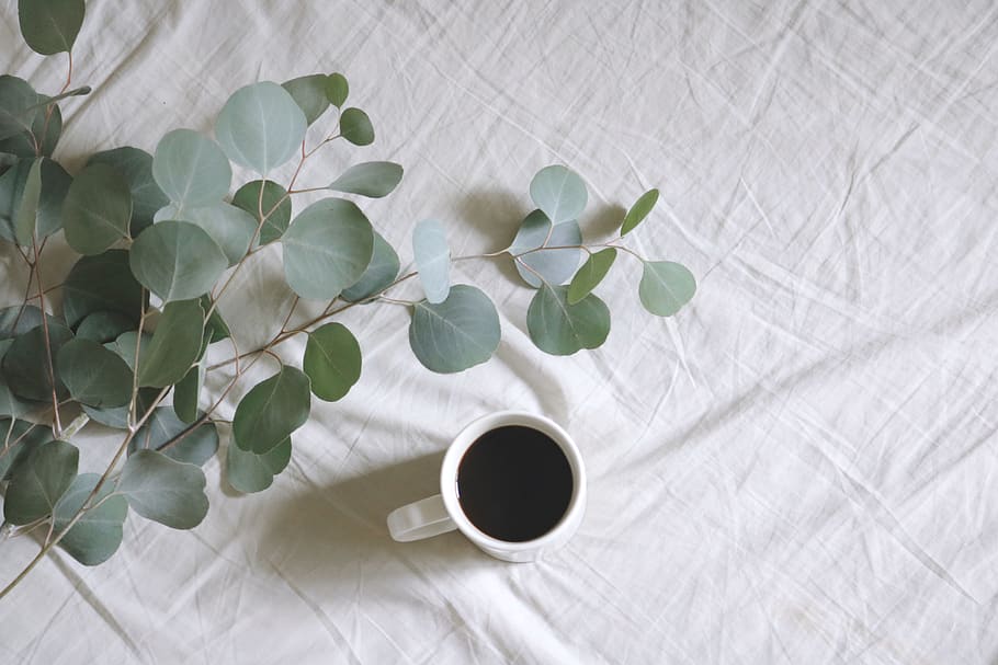 eucalyptus, linen, food, caffeine Free HD Wallpaper