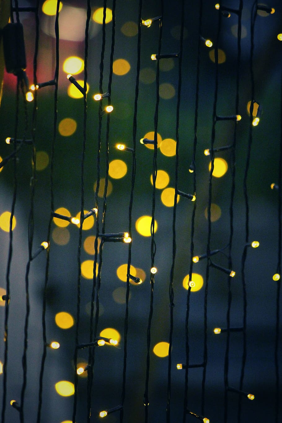 Fairy String Lights, street, light, illuminated, color Free HD Wallpaper