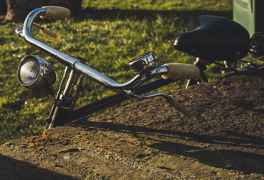 Gravel Bike Tires, paintball, focus on foreground, animal, cyclist Free HD Wallpaper