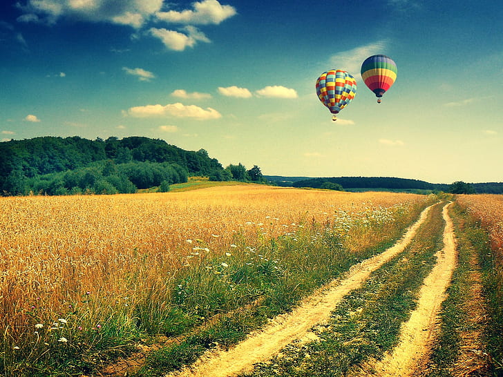 Hot Air Balloon Wall Mural, love, birthday, happy, colorful Free HD Wallpaper