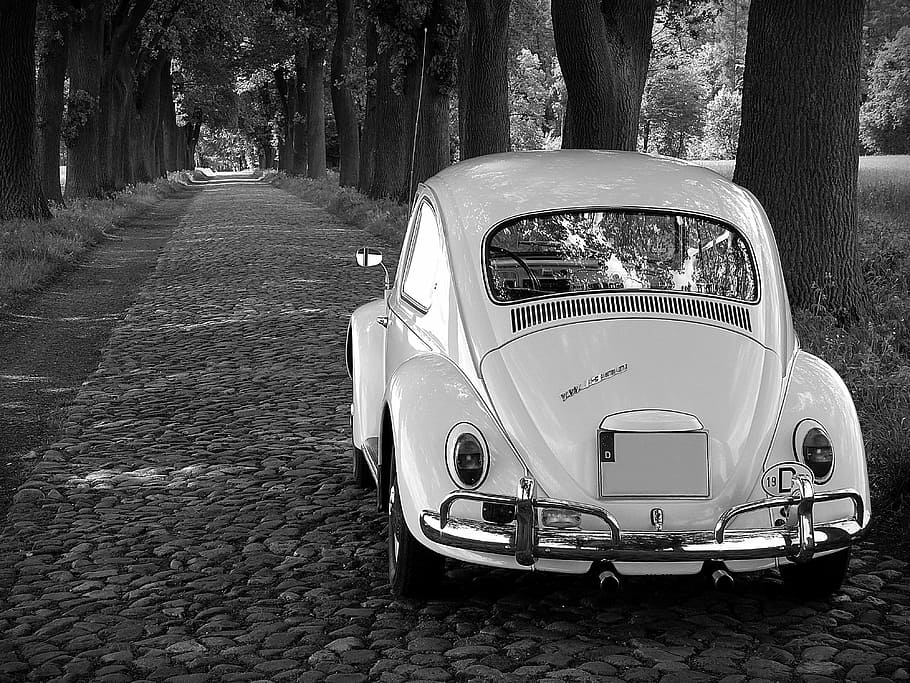 Mercedes Classic Cars, plant, street, mode of transport, nature Free HD Wallpaper