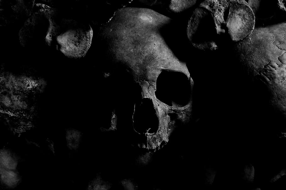 More Scary Stories to Tell in the Dark Book, skull, human body part, human bone, halloween Free HD Wallpaper