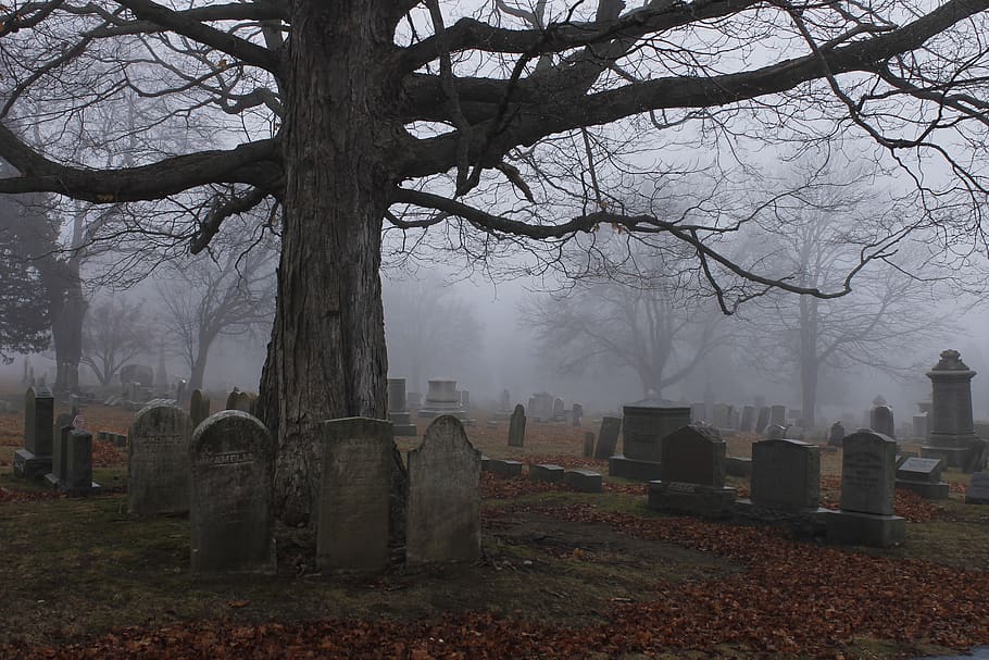 newlondonct, victorian, dead, newengland Free HD Wallpaper