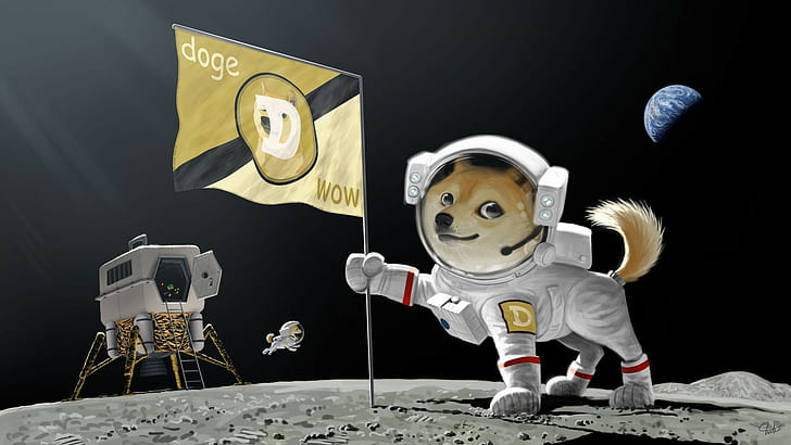 Perro Doge, space, doge, artwork, moon Free HD Wallpaper