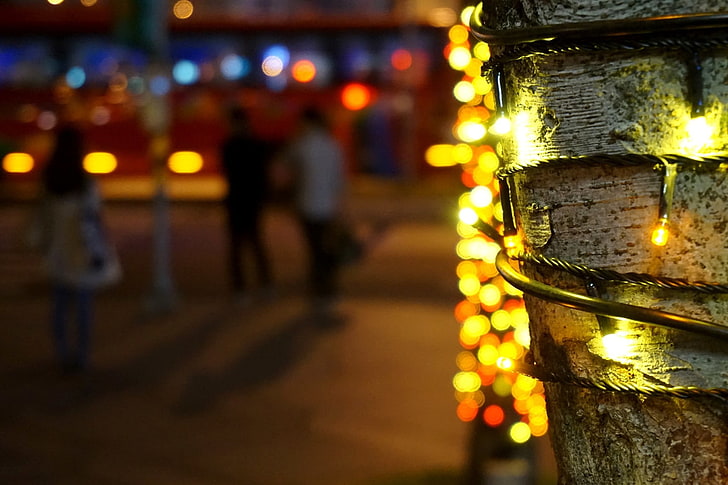 Red Christmas Lights, light  natural phenomenon, lighting equipment, focus on foreground, illuminated Free HD Wallpaper