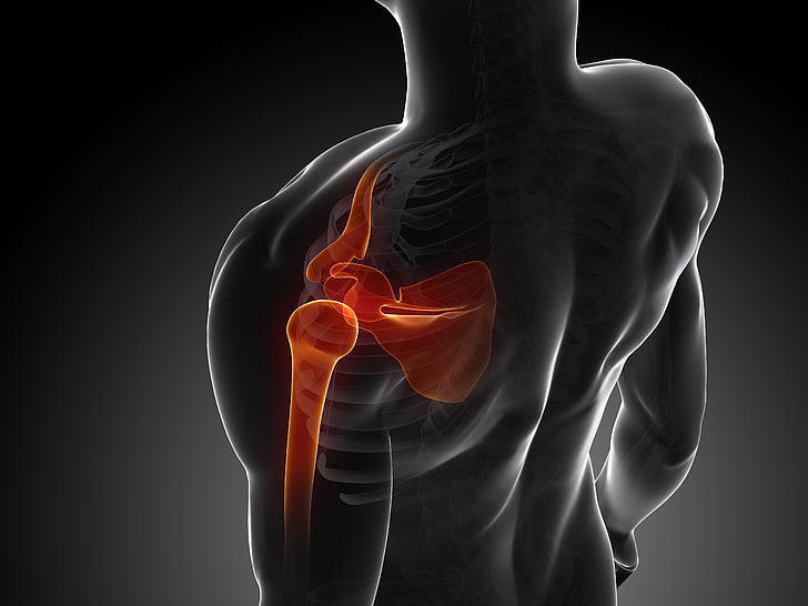 shoulder, joint, pain Free HD Wallpaper