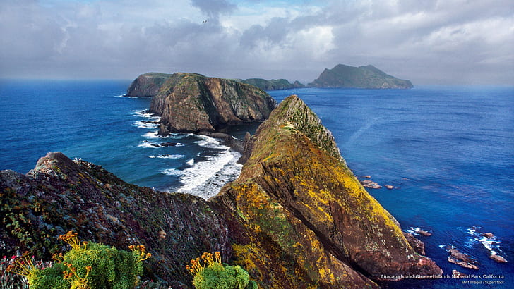 South Georgia Island Penguin, anacapa, park, islands, national parks Free HD Wallpaper