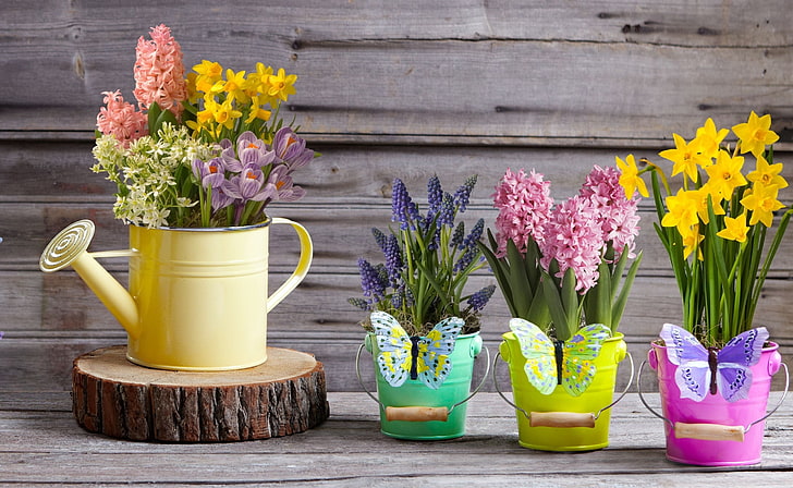 Spring Flower Bouquet, hyacinths, nature, collection, bunch of flowers Free HD Wallpaper
