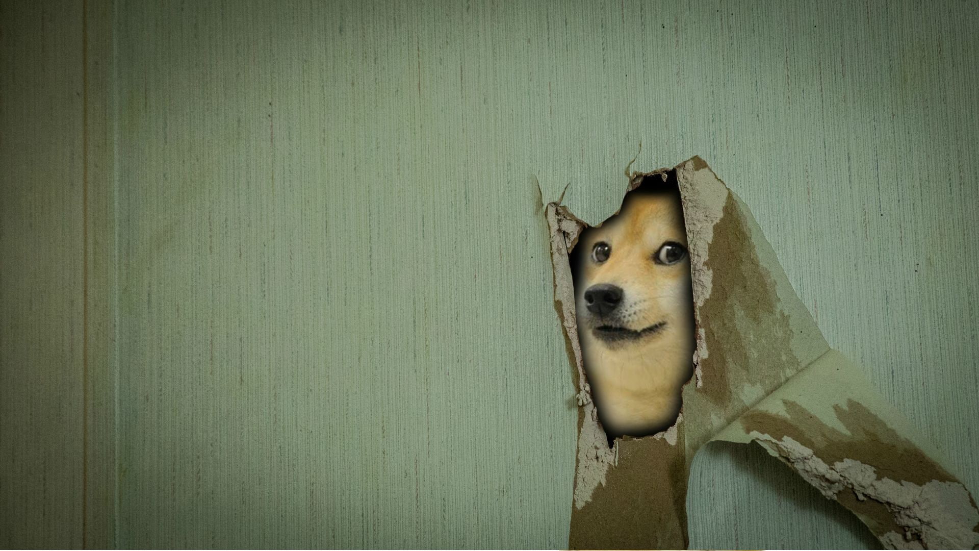 Walter Dog Meme, doge, memes