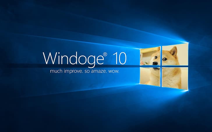 Windows 9, doge, windoge Free HD Wallpaper