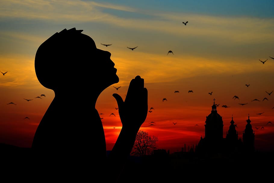 A Man Praying to God, sunrise, animal wildlife, church, architecture Free HD Wallpaper