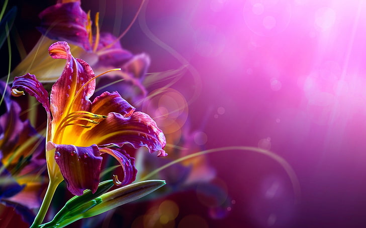 Abstract Flower Photography, pollen, nature, flowering plant, underwater Free HD Wallpaper