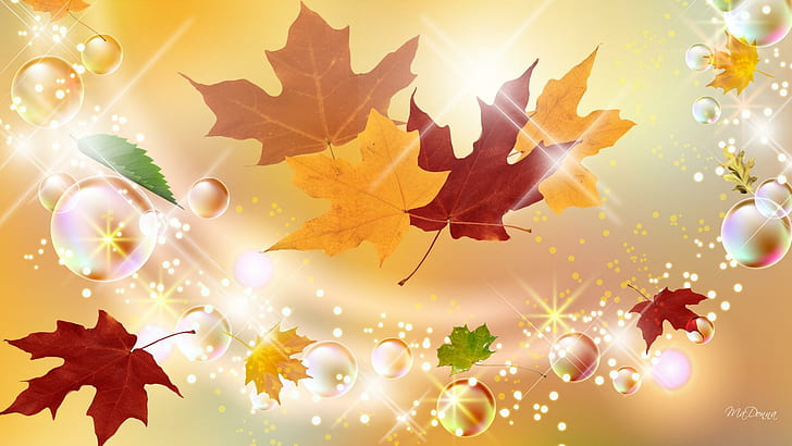 Autumn Leaves Phone, scintillate, orange, gold, bubbles Free HD Wallpaper