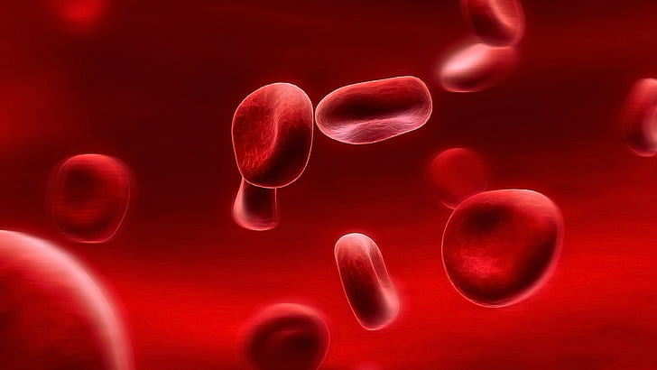 Bentuk Rumah, blood, Red, red, cells Free HD Wallpaper