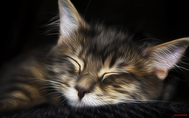 Cat Art Prints, closeup, studio shot, no people, domestic animals Free HD Wallpaper