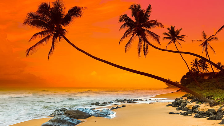 Full HD Sri Lanka, sea, summer, red sky, orange sky Free HD Wallpaper