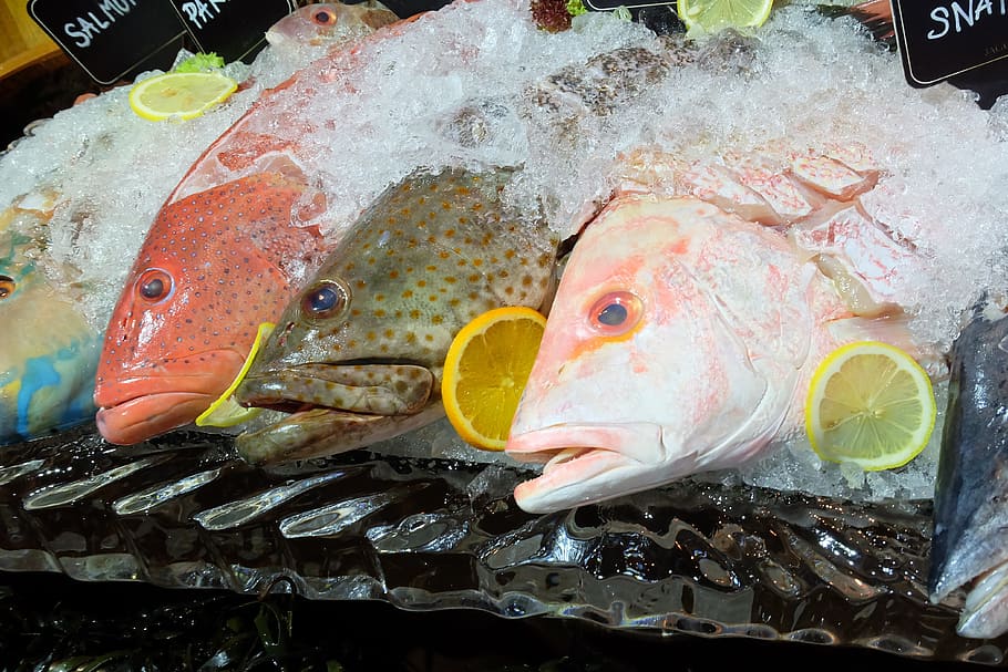 Hawaiian Food Fish, dine, fishing industry, healthy eating, citrus fruit