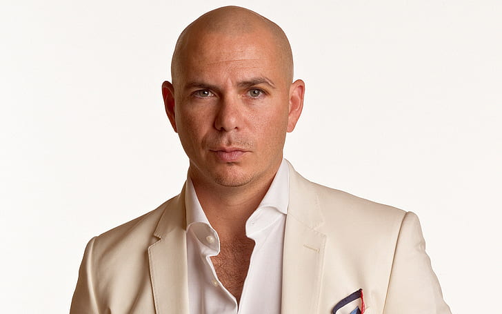 Pitbull Concerts, music, rapper, american, pitbull Free HD Wallpaper