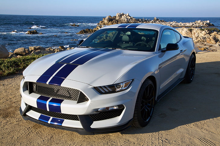 shelby gt350, clear sky, nature, american cars Free HD Wallpaper