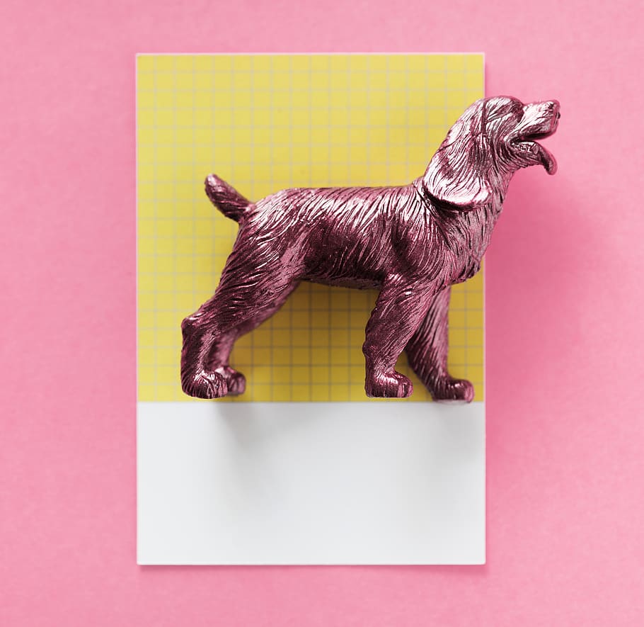 symbol, representation, creativity, spaniel