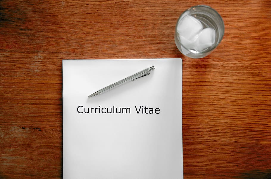 Teacher CV Example, high angle view, food and drink, interview, western script Free HD Wallpaper