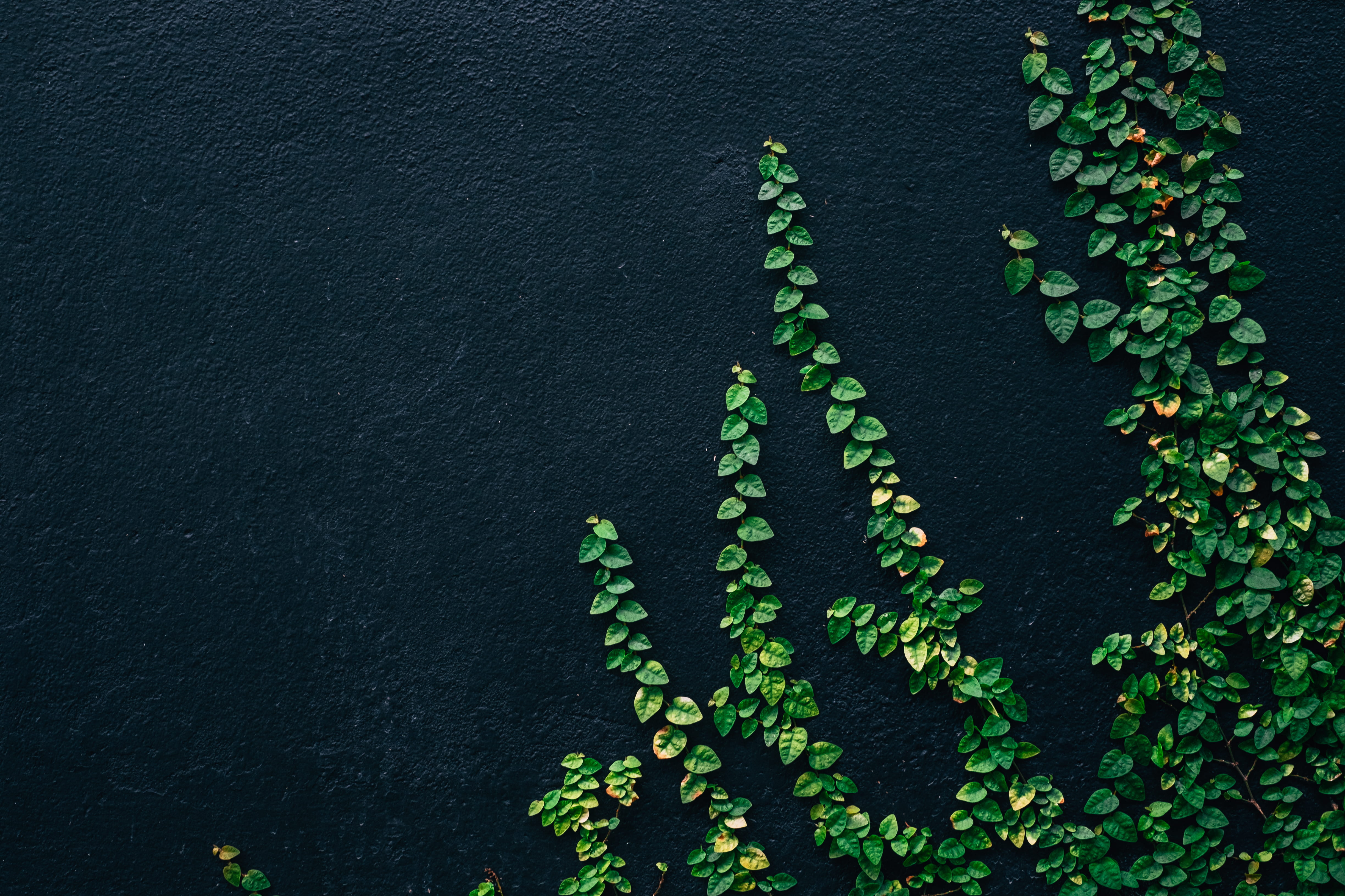 Winter 1366X768, outdoors, architecture, beauty in nature, wall building feature