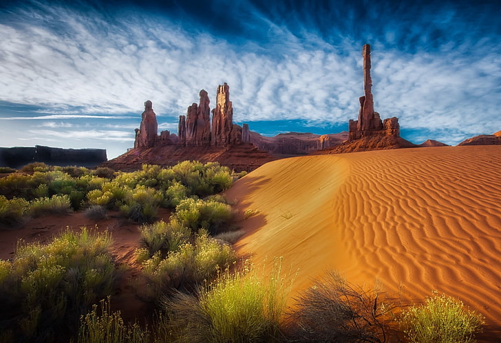 Arizona Desert Cactus, arizona, beauty in nature, nature, remote Free HD Wallpaper