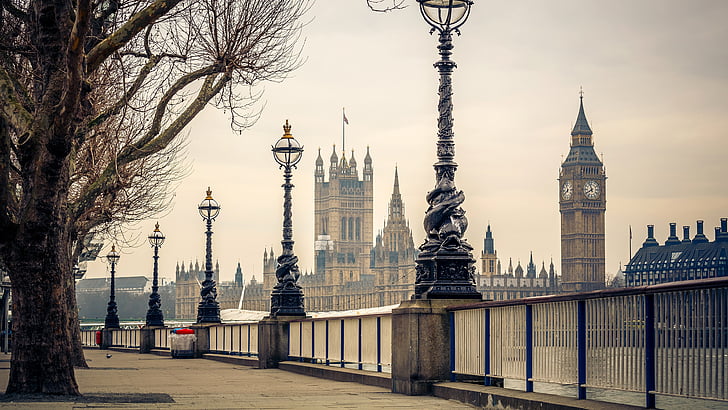 Big Ben Strikes 12, tourist attraction, united kingdom, tree, building Free HD Wallpaper