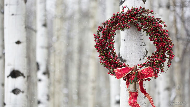 Christmas Garland, christmas, holidays, wreath Free HD Wallpaper