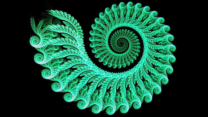 Cool Spiral, green color, indoors, fibonacci, closeup