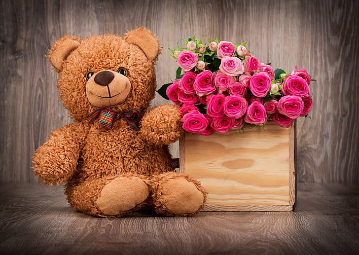 Cute Valentine Teddy Bear, gift, flower arrangement, plant, beauty in nature