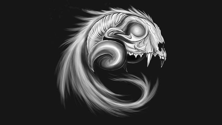 Digital Art Skull, tail, black background, swirl, craft Free HD Wallpaper