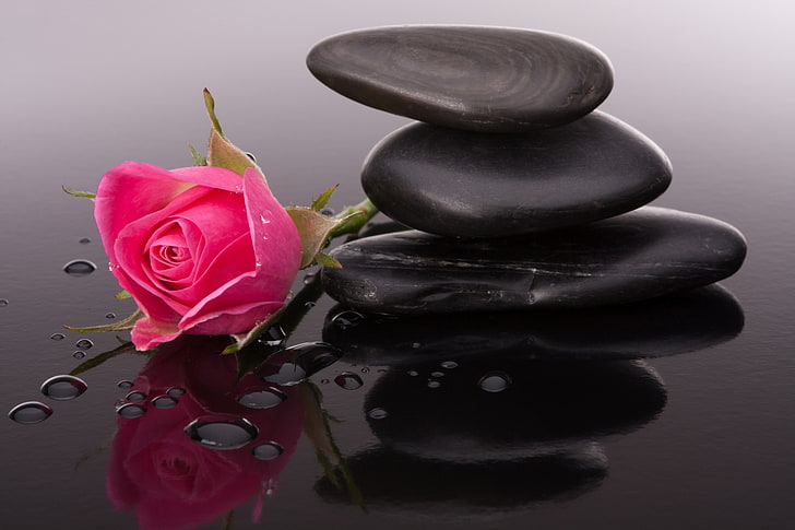 DIY Pebble Art Flowers, drop, body care, nature, relaxation Free HD Wallpaper