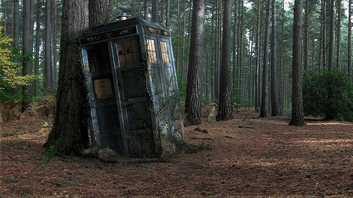 Doctor Who TARDIS Sign, wood  material, growth, abandoned, doctor who Free HD Wallpaper