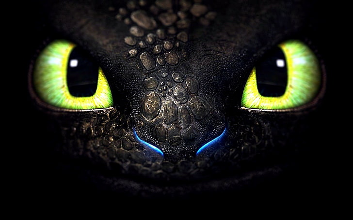 DreamWorks How to Train Your Dragon, eyelash, body part, eyesight, one animal Free HD Wallpaper