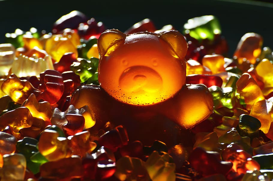 flame, burning, gummi bear, colorful Free HD Wallpaper