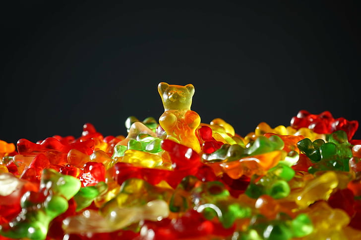 Funny Happy Birthday Bear, food, sweet, orange, red Free HD Wallpaper