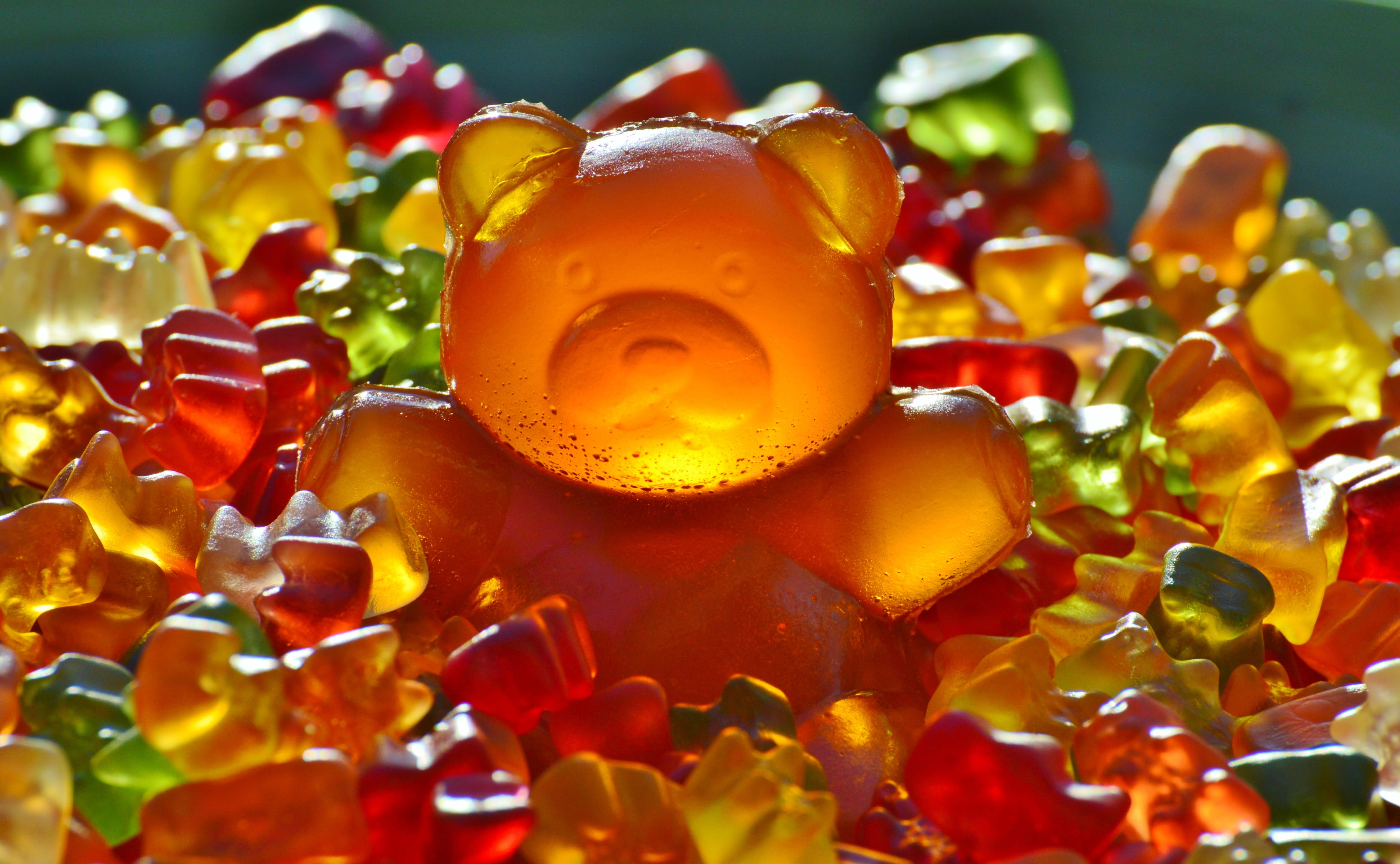 Gummy Worms, food and drink, closeup, refreshment, vegetable