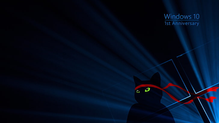 Microsoft Windows 10 Ninja Cat, anniversary, night, windows 10 anniversary, light  natural phenomenon Free HD Wallpaper