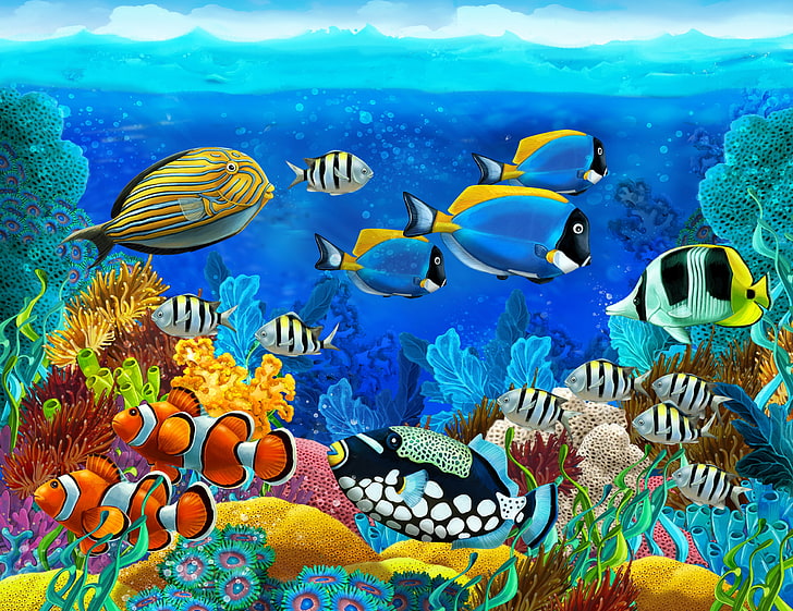 Ocean Fish Sea Life, nature, wildlife, tropical fish, animals in the wild Free HD Wallpaper