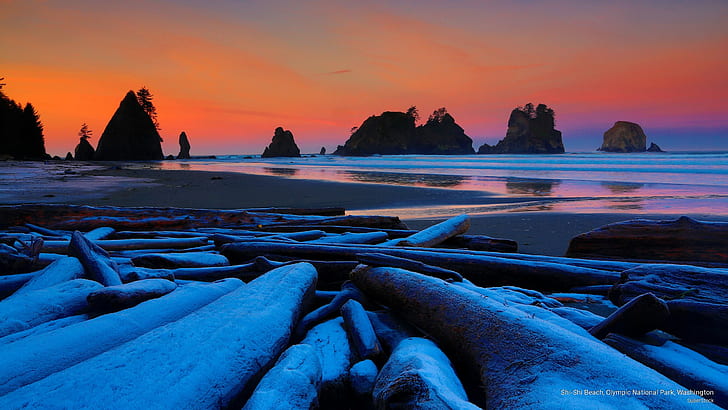 Olympic National Park Seashore, olympic, national, washington, beaches Free HD Wallpaper