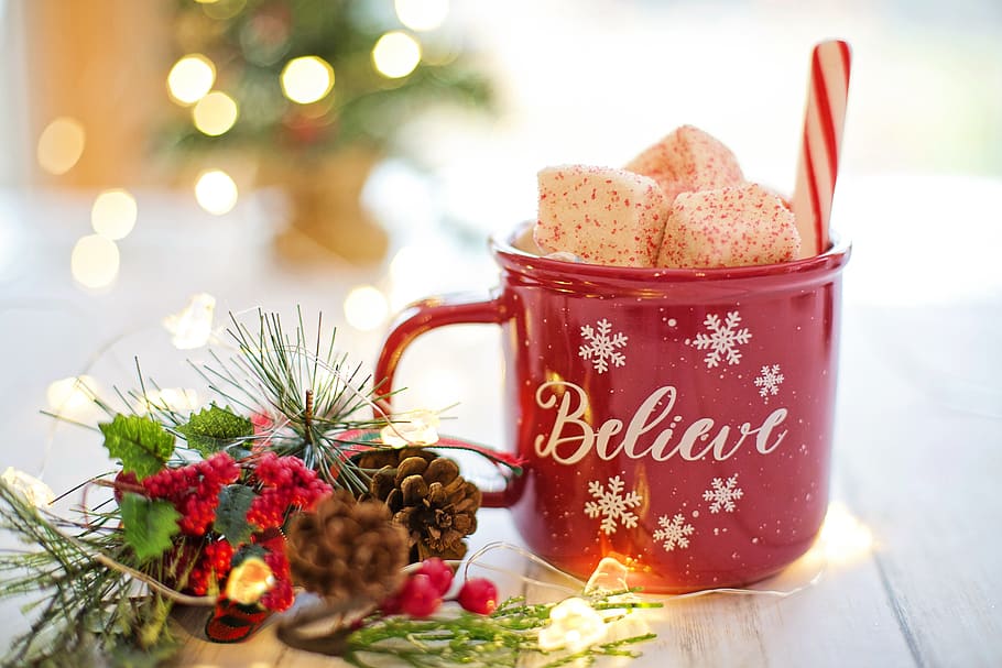 Person Drinking Hot Cocoa, christmas ornament, plant, indoors, food