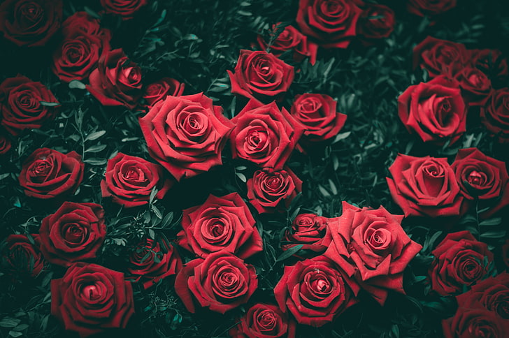 Red Rose Flower Arrangements, ornate, romance, bunch of flowers, decoration Free HD Wallpaper