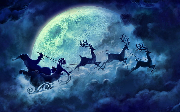 Santa Reindeer, underwater diving, sea life, santa claus, snow Free HD Wallpaper